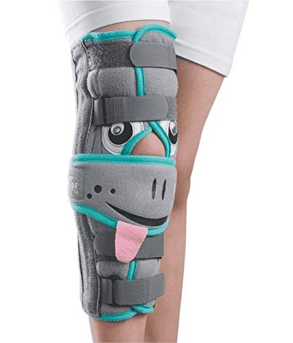 Knee Immobilizer